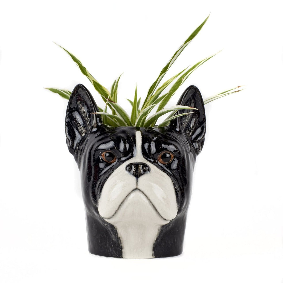 Quail Ceramics interiør French Bulldog - pencil pot