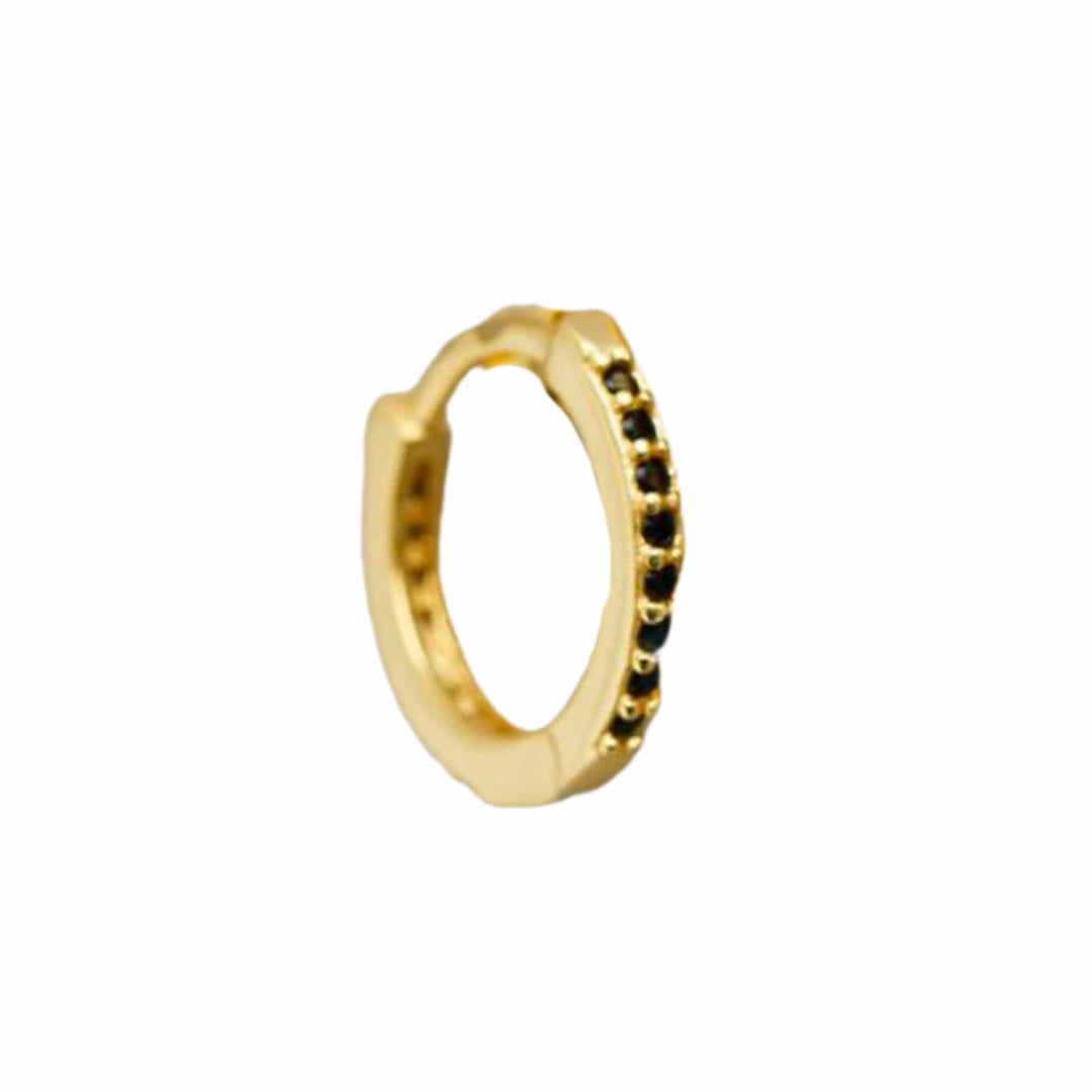 Frøken Dianas salonger øredobber Medium hoop - black