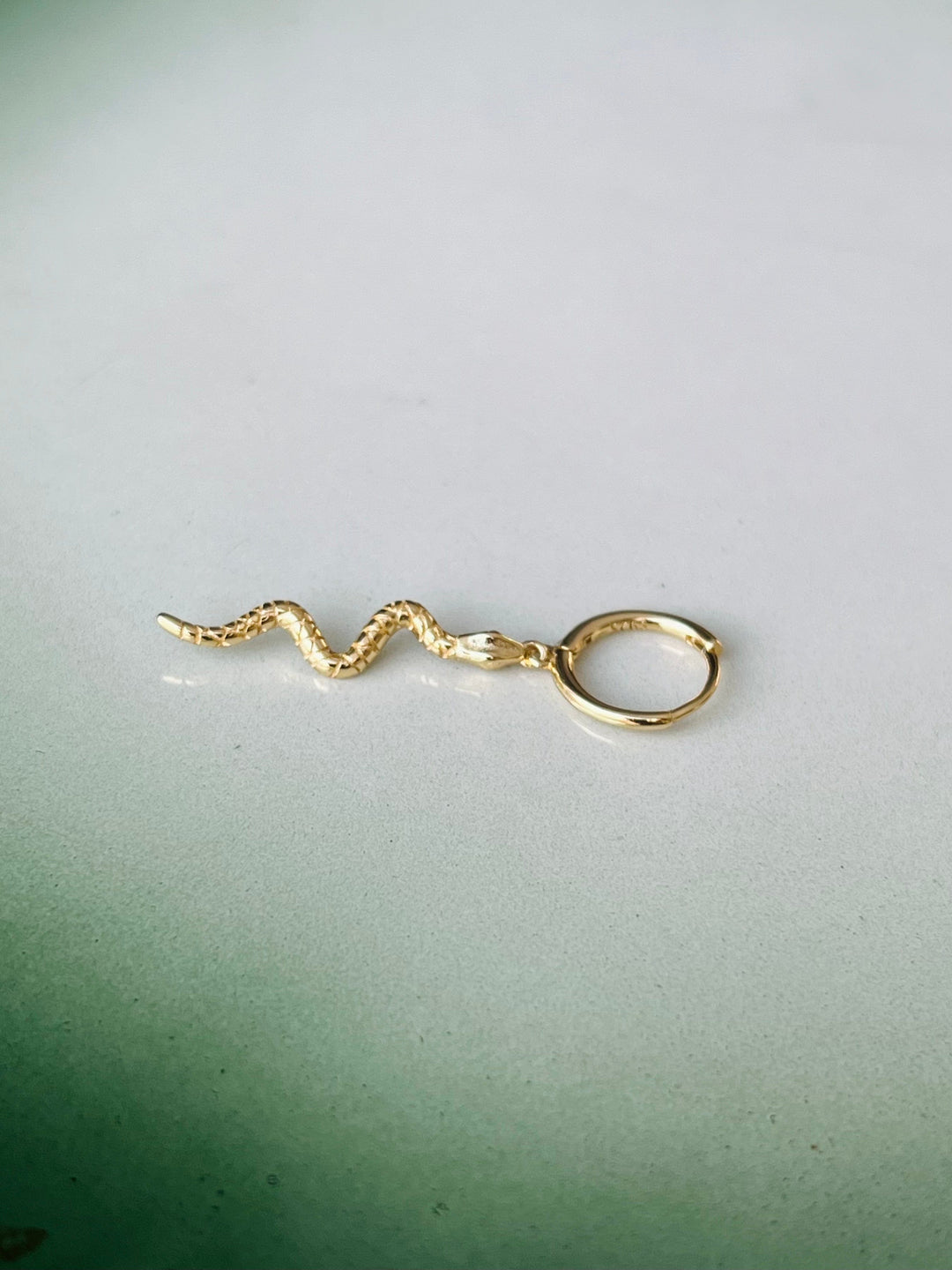 Frøken Dianas salonger øredobber Øredobb - liten hoop med slange lang - gull