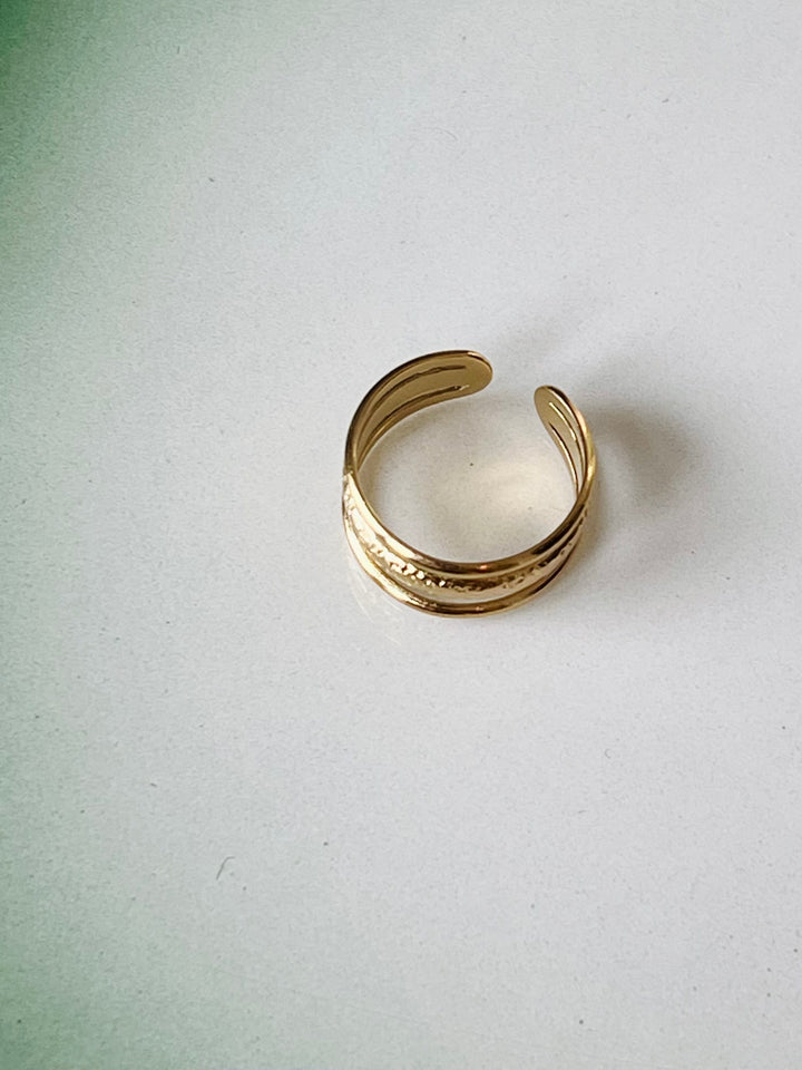 Frøken Dianas salonger ringer Ring gylne lag