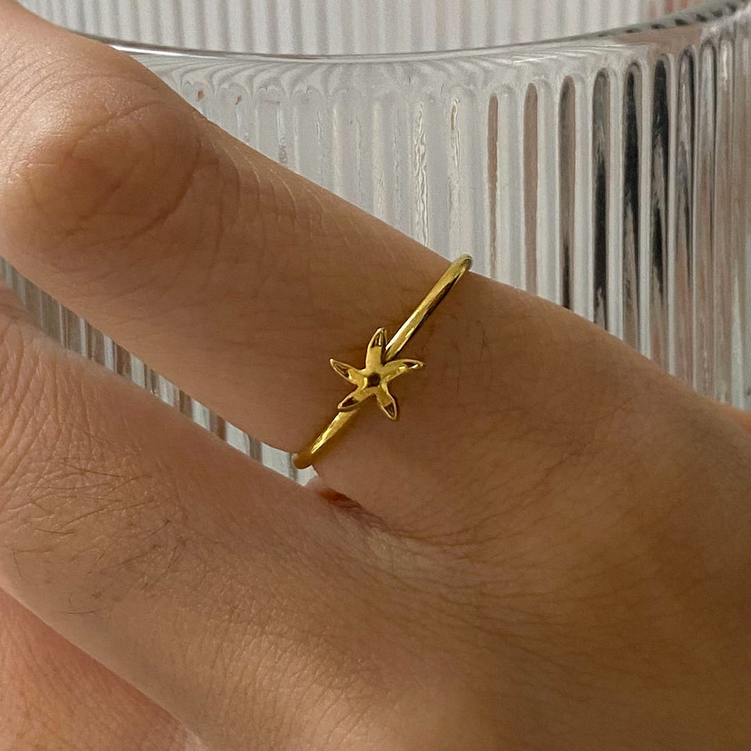 Frøken Dianas salonger ringer Ring sjøskatter