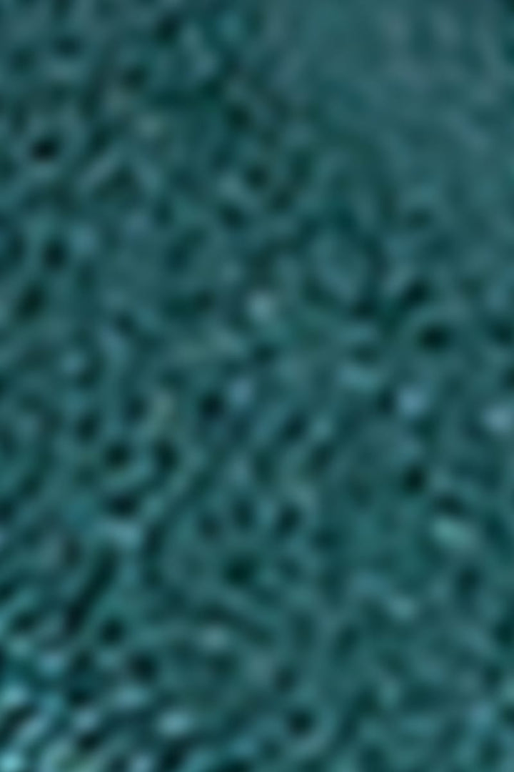 King Louie belter Shiny belte - spruced green