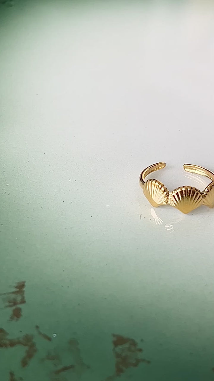 Ring gylne skjell