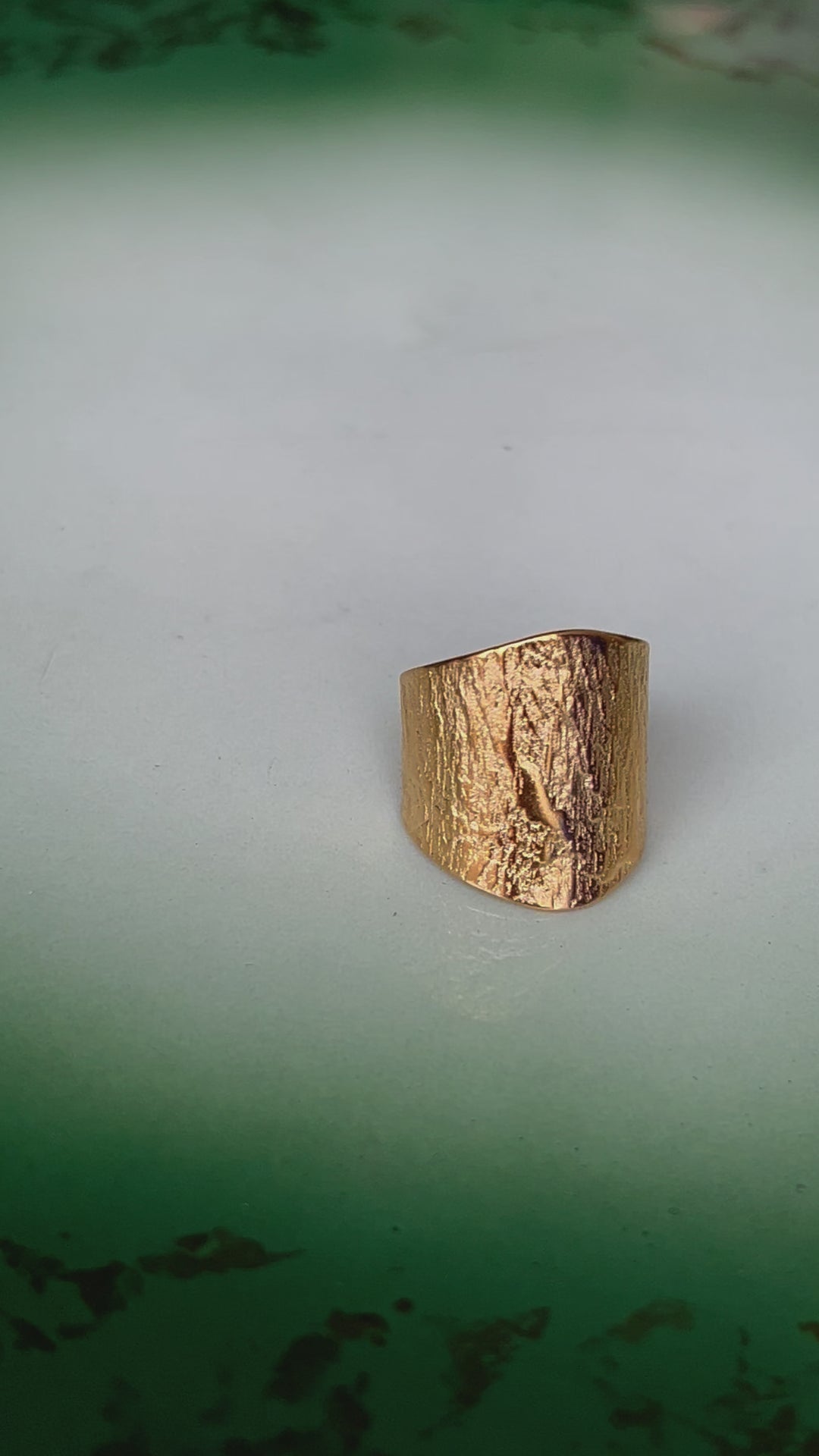 Shield ring - gull