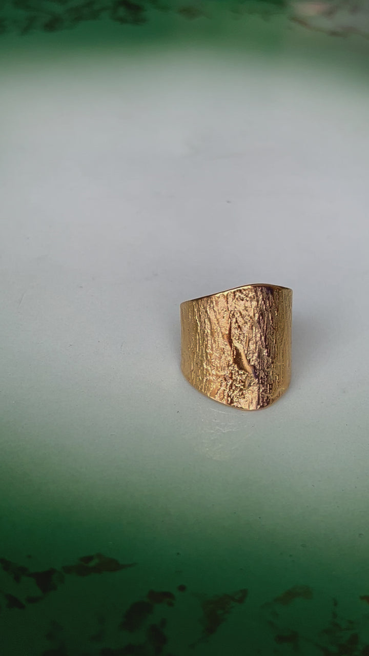 Shield ring - gull