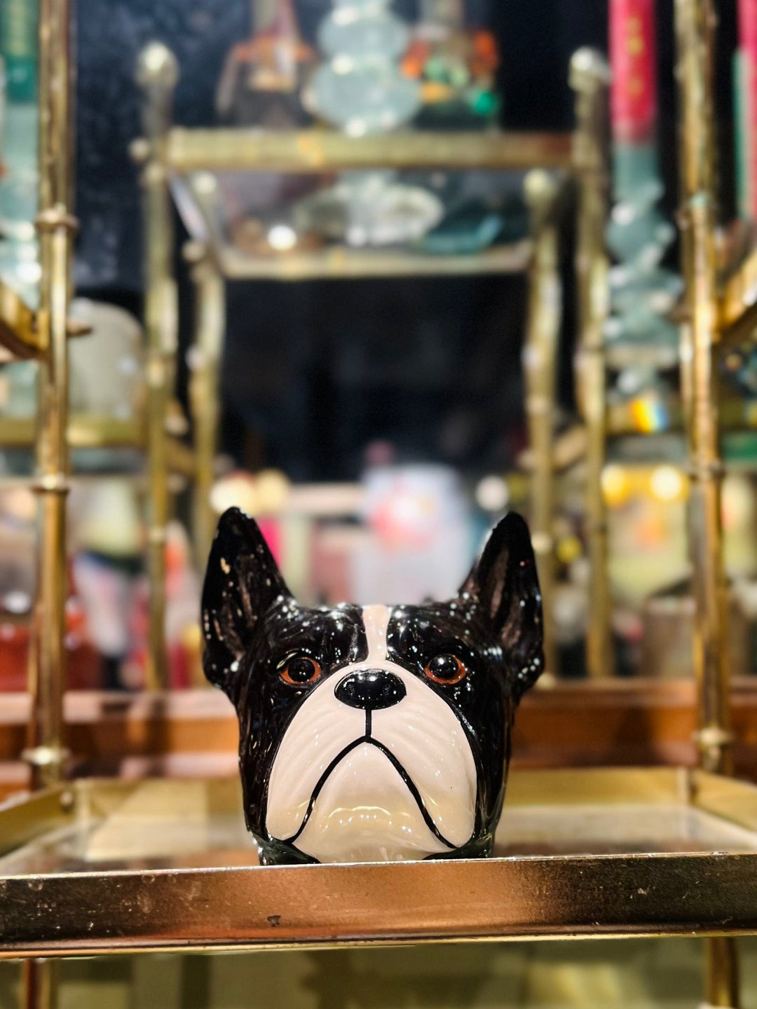 Quail Ceramics interiør Eggeglass - Fransk bulldog