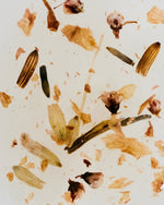 Last inn bildet i Galleri-visningsprogrammet, Liciaflorio neglelakk Nail Treatment - flower cuticle oil
