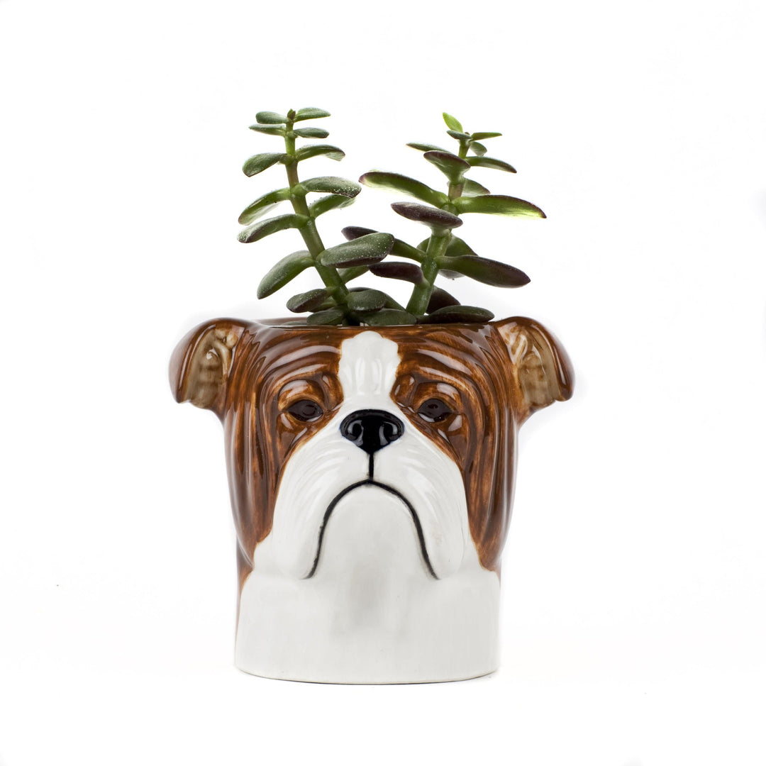 Quail Ceramics interiør English bulldog - pencil pot